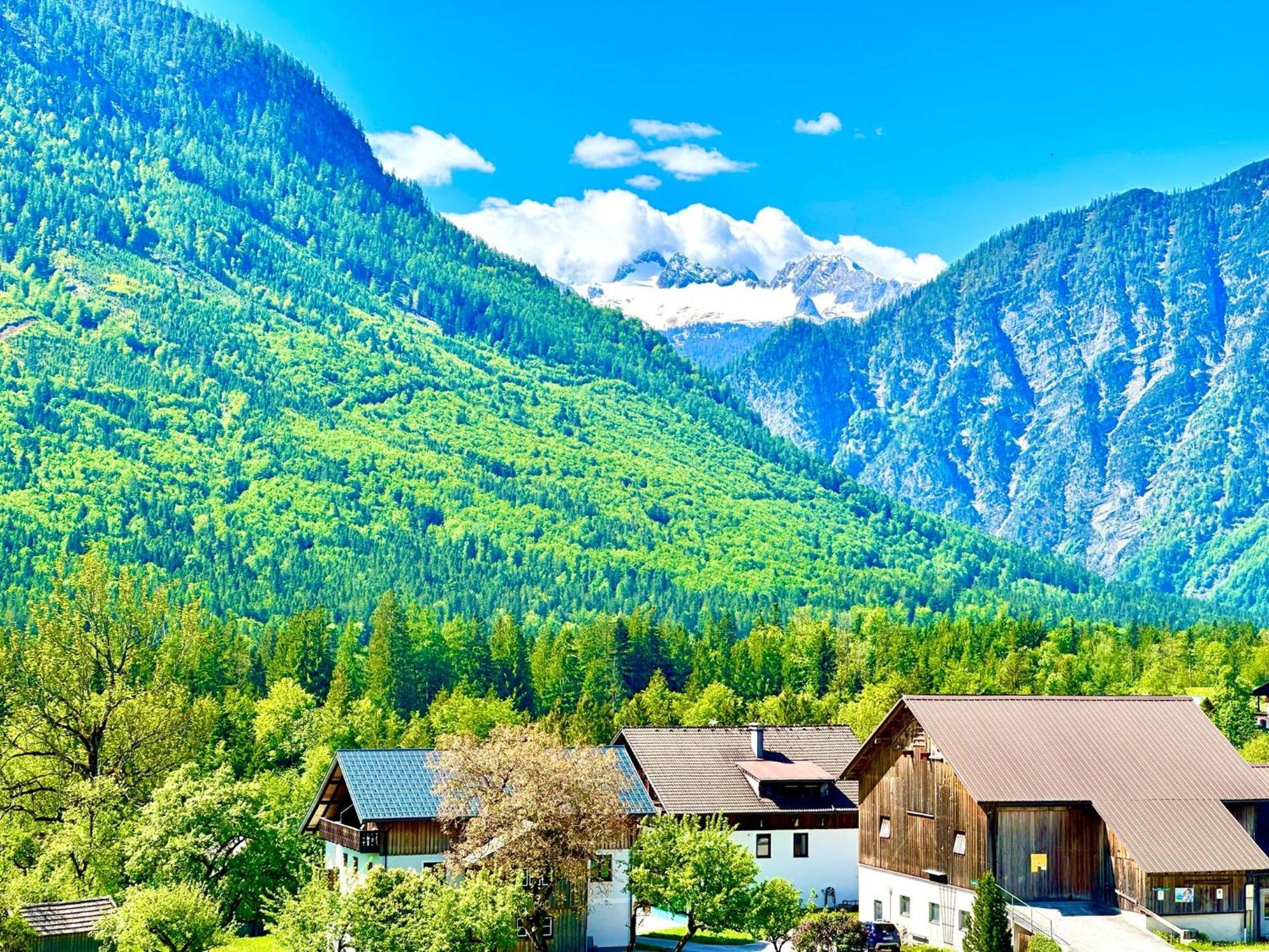 Das Alpenzeit Appartement Mit Just Private Terrasse (Adults Only) Bad Aussee Extérieur photo